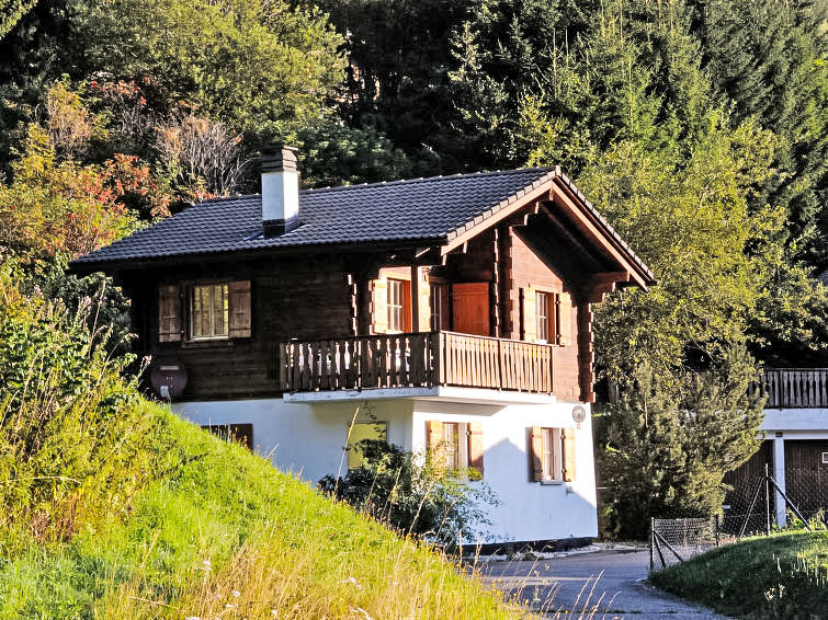 Op 300 m van de piste: Vrijstaand chalet met bergzicht in Moléson-sur-Gruyères in Moléson-sur-Gruyères