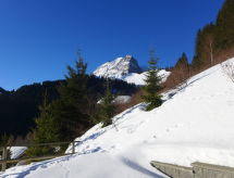 Maison Mountain View