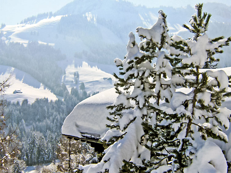 Slide2 - Chalet le Chamois