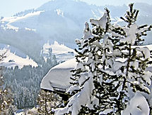 Maison Chalet le Chamois