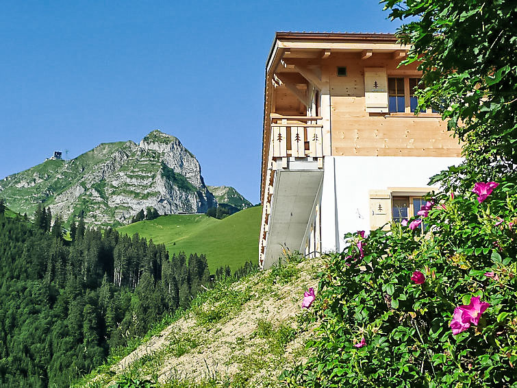 6-persoons chalet met bergzicht in Moléson-sur-Gruyères · 6 pers. in Moléson-sur-Gruyères