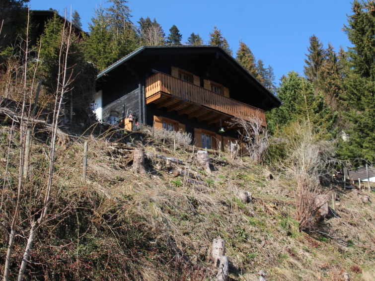 Slide8 - Chalet 1619