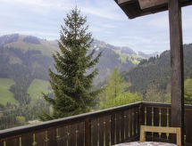 Maison Chalet Les Pitchounes
