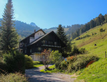 Knusse studio aan de piste in Moléson-sur-Gruyères - thumbnail 1