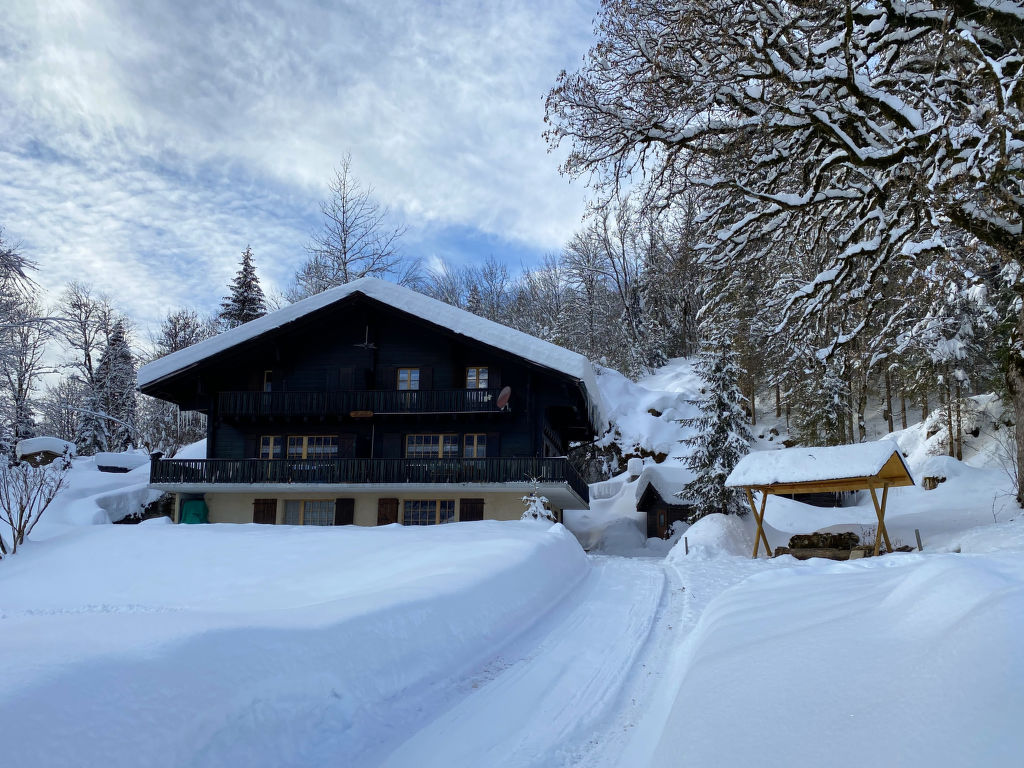 Ferienwohnung Chalet l'Aube Ferienwohnung  Waadtländer Alpen