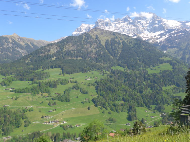 Апартаменты La Soldanelle