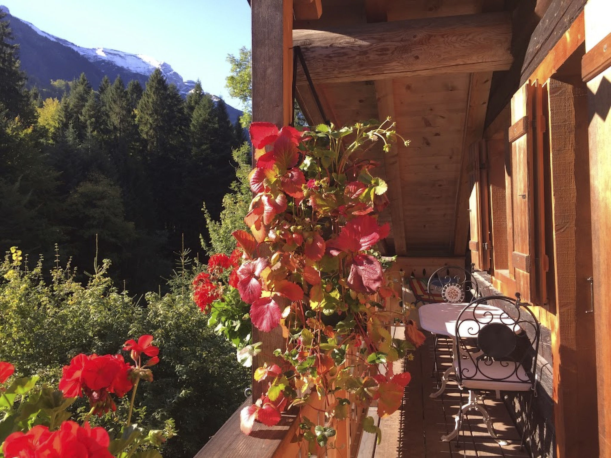 Chalet Les Quatre Saisons, (Val d'Illiez), - Outside