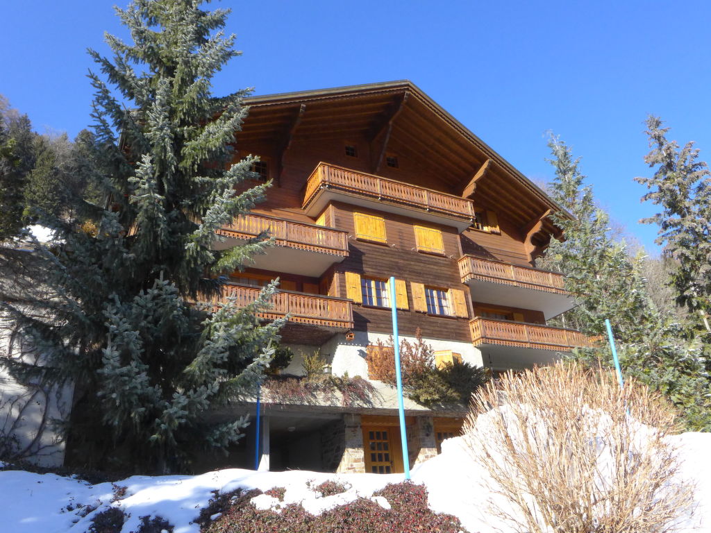 Bild 16