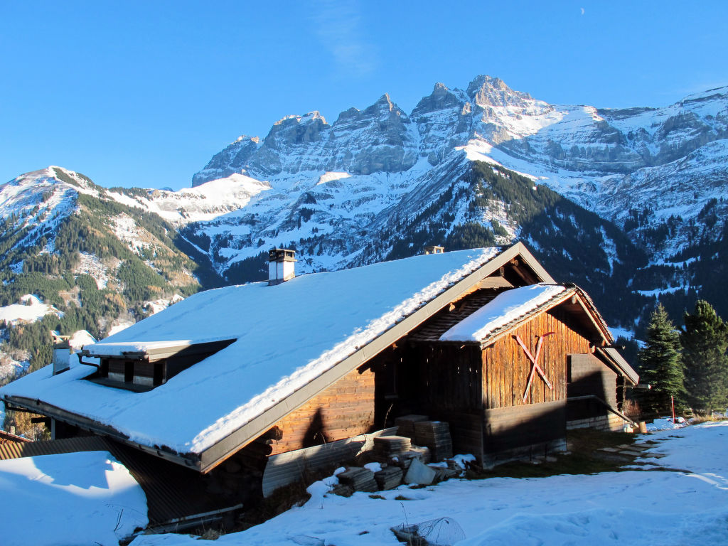 Ferienwohnung Chalet Anthamatten Ferienwohnung 