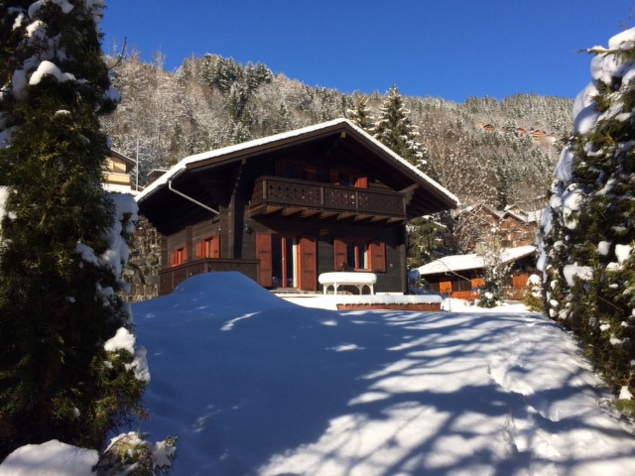 Photo of Chalet Brimborion, (Champery),