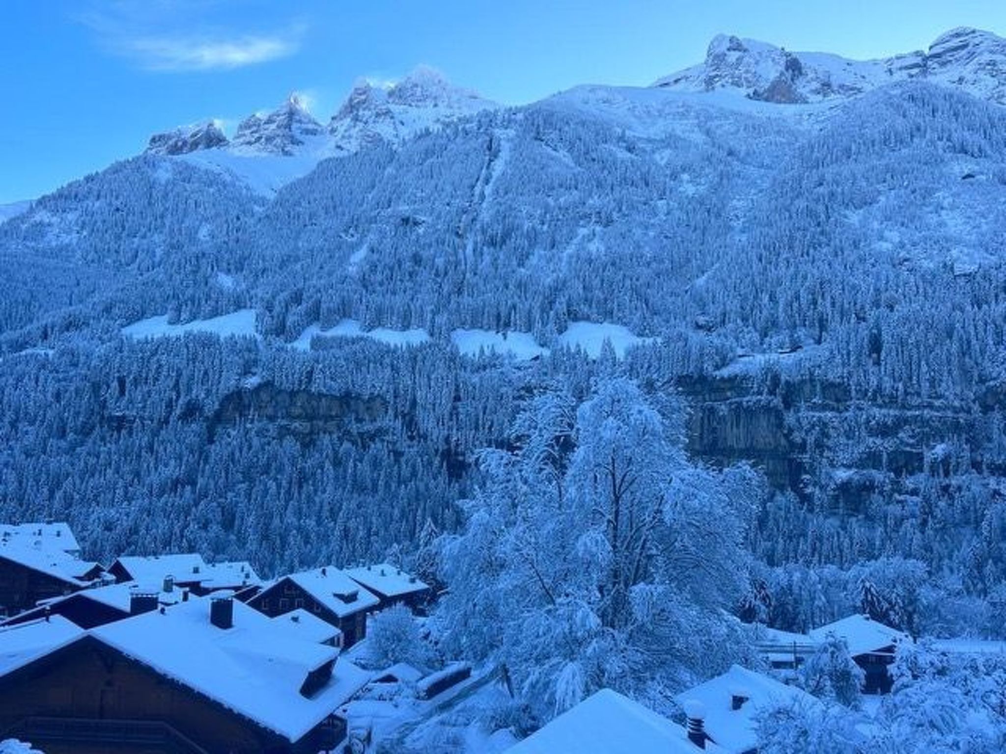 Chalet l'Eglantine, (Champery),
