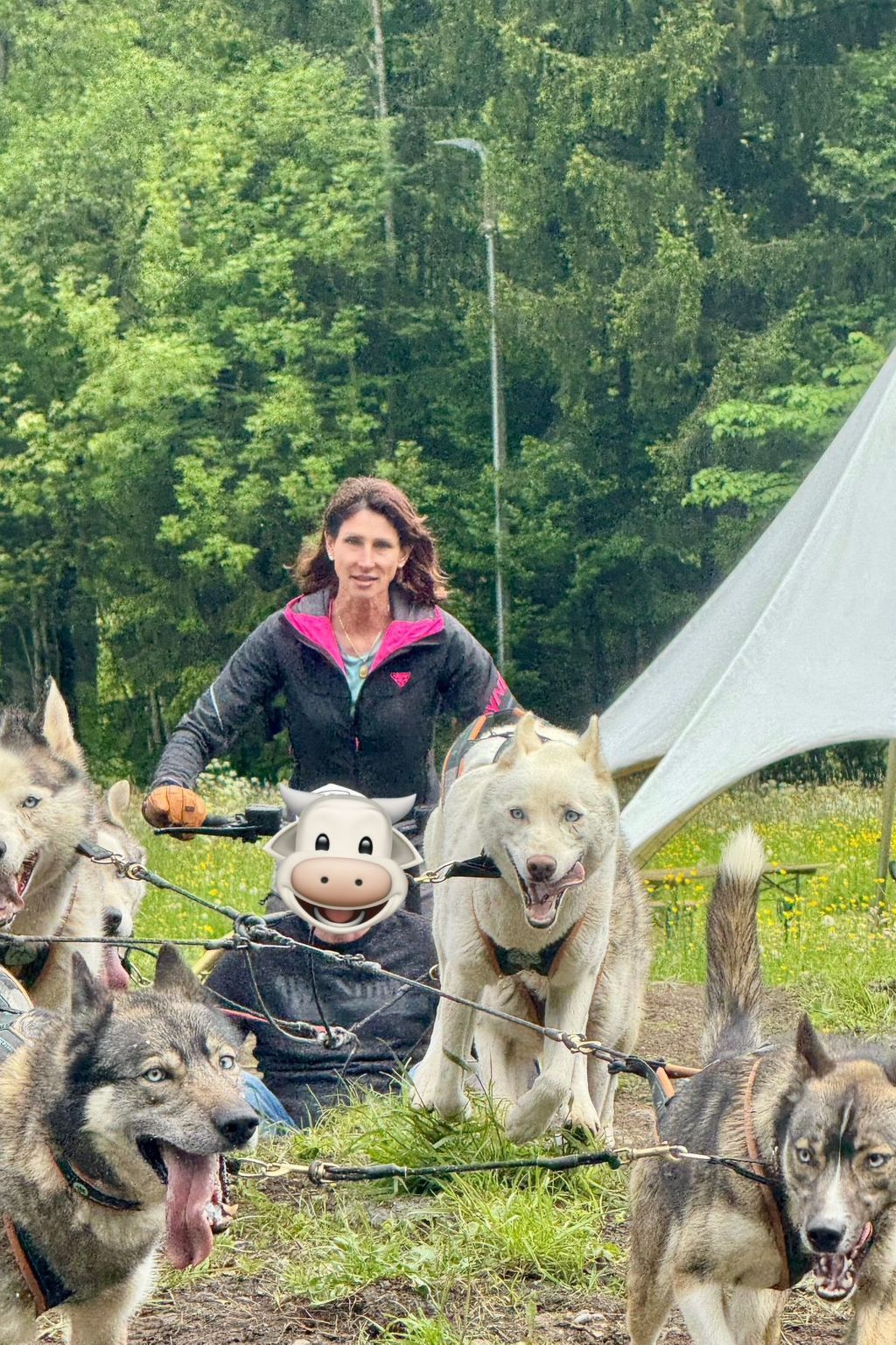 Photo of La Chotte du Musher, (Champery).