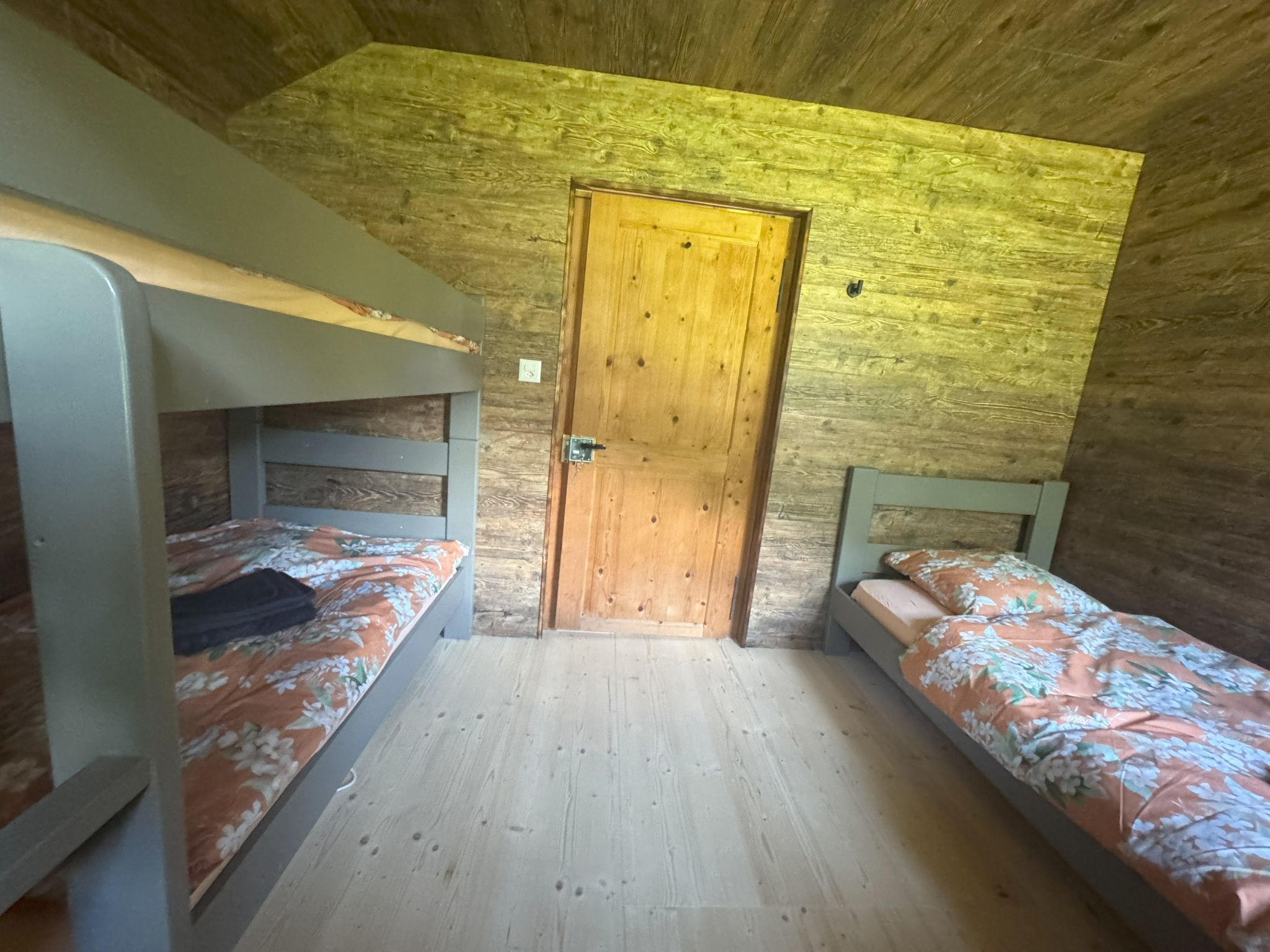 Photo of La Chotte du Musher, (Champery).