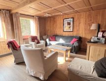 Ruim chalet-appartement voor 8 personen direct aan de skipiste van Morgins - thumbnail 3