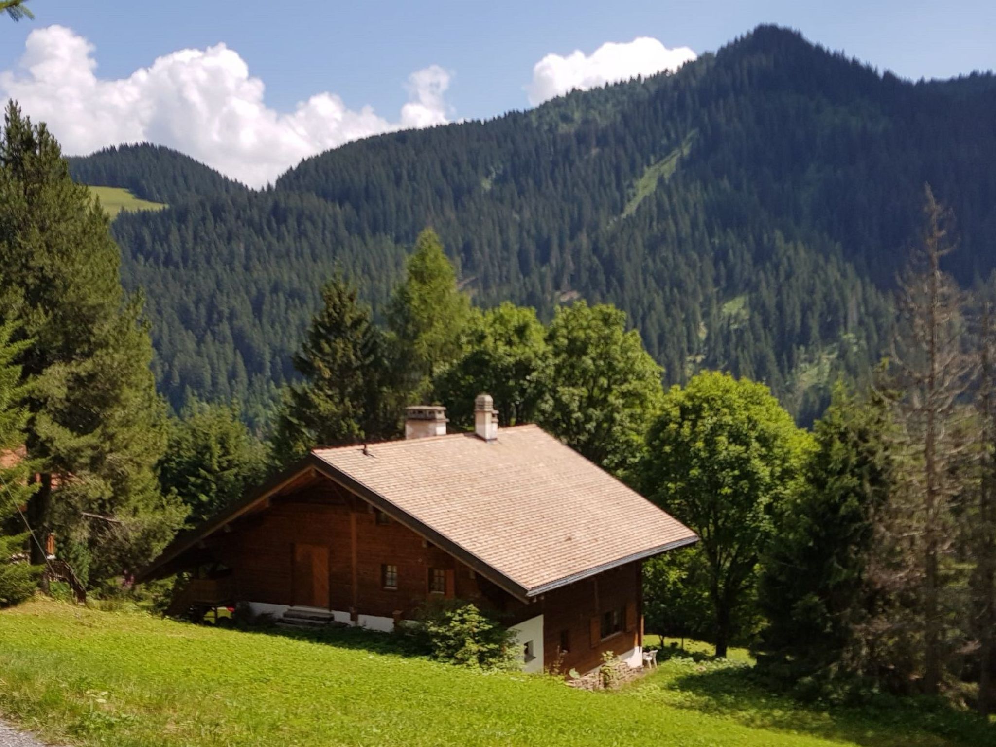 Chalet Carmazin, (Morgins),