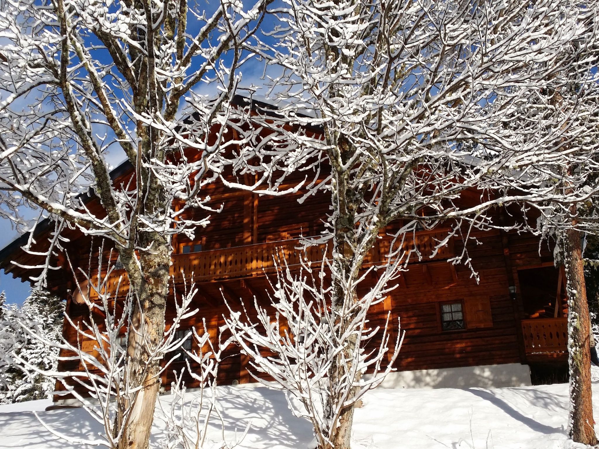 Chalet Carmazin, (Morgins), - Dehors