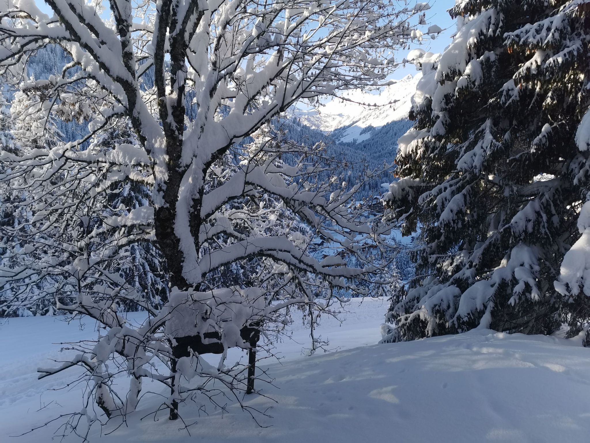 Chalet Carmazin, (Morgins), - Dehors