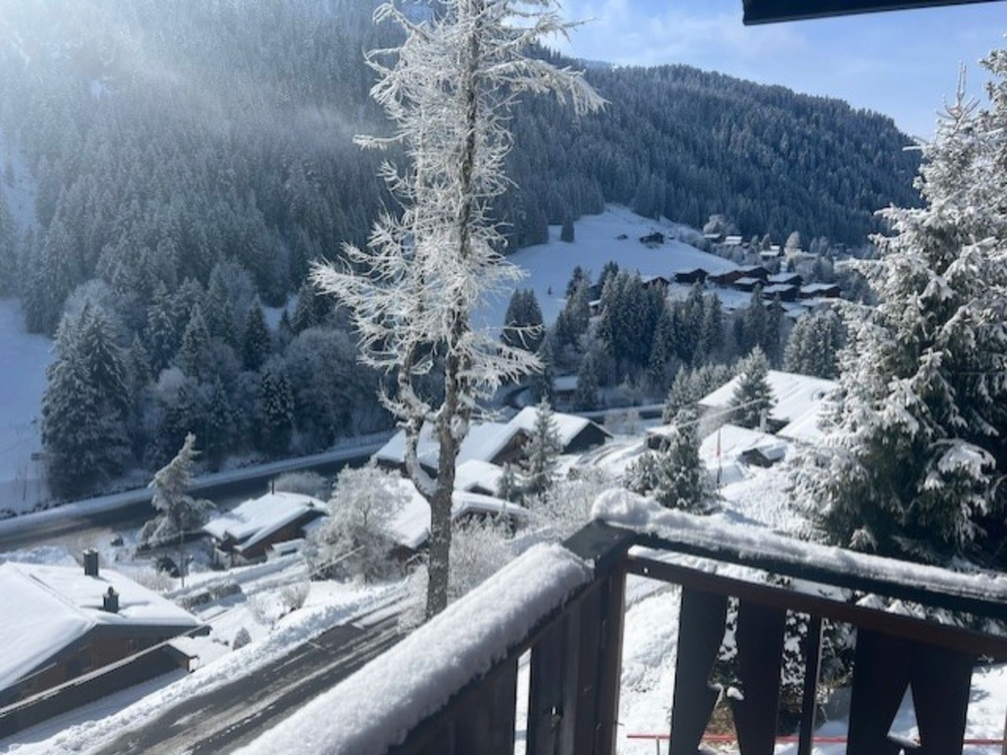Chalet Violeta, (Morgins), - Dehors
