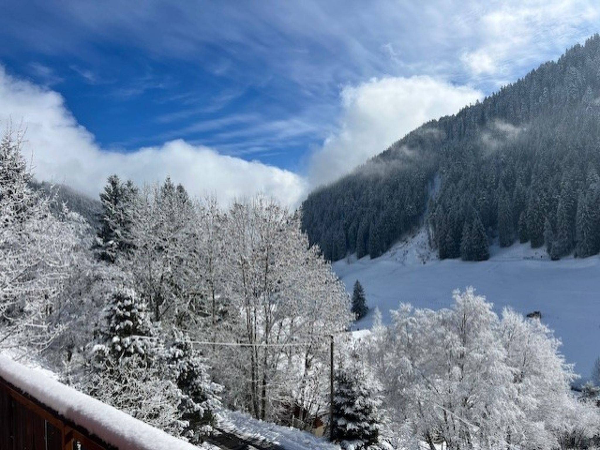 Chalet Violeta, (Morgins), - Dehors
