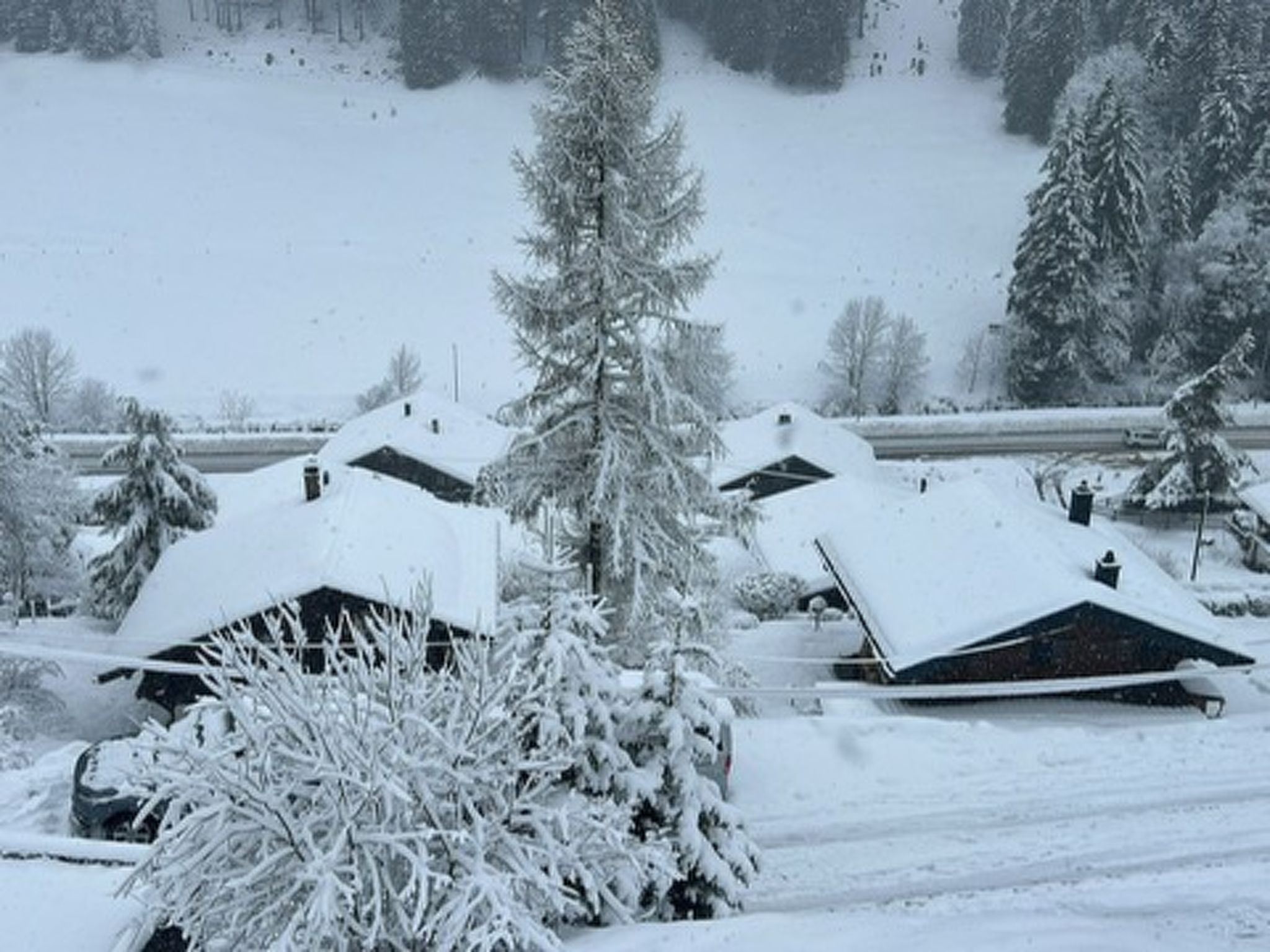 Chalet Violeta, (Morgins), - Dehors