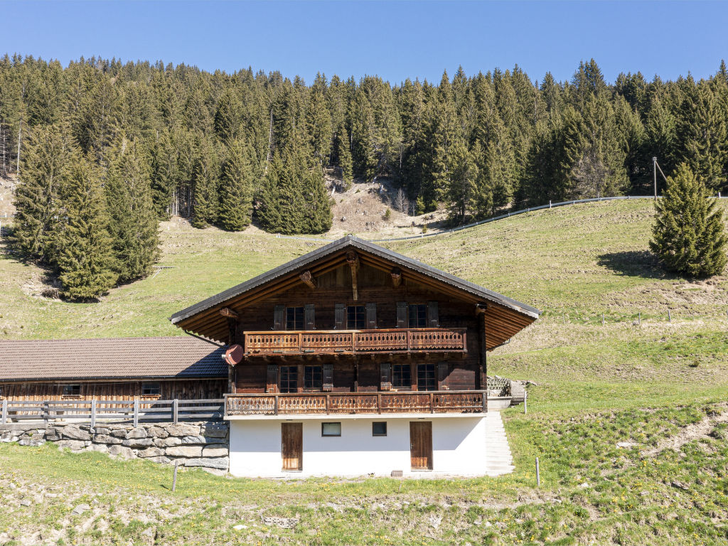 Vakantiehuis Naulaz in Zwitserland
