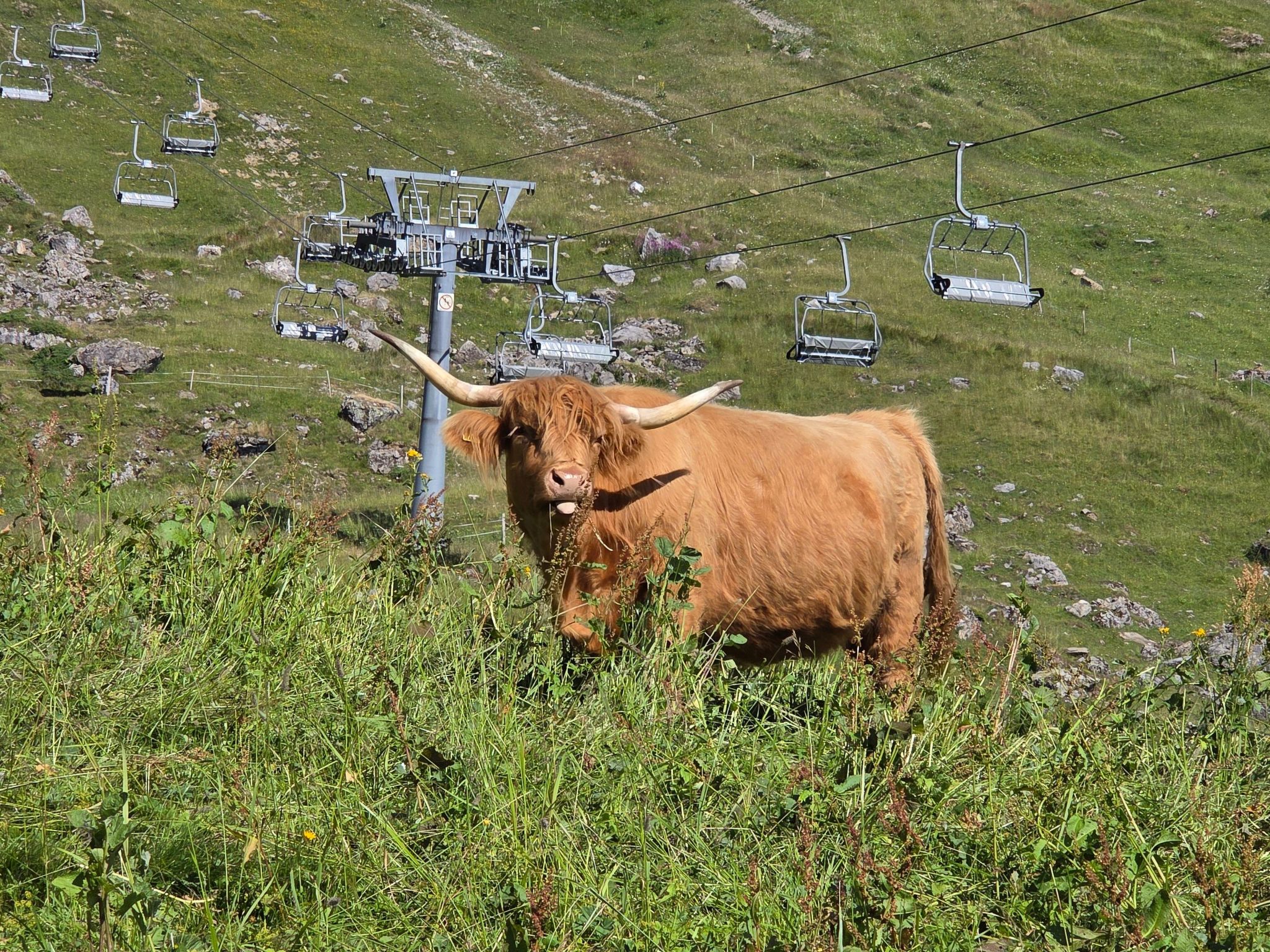 Chalet "Ecureuil" in den Portes du Soleil im Wallis-Outside