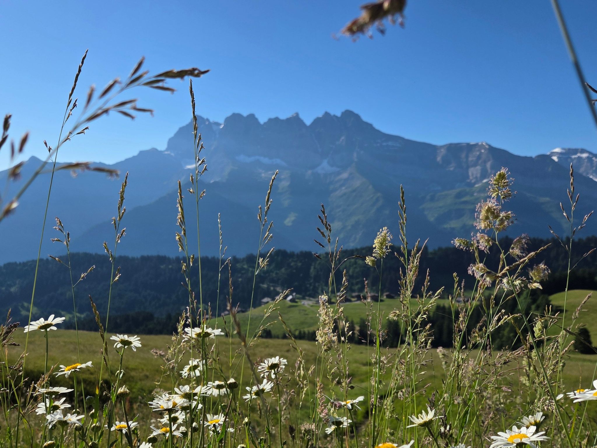 Chalet "Ecureuil" in den Portes du Soleil im Wallis-Outside