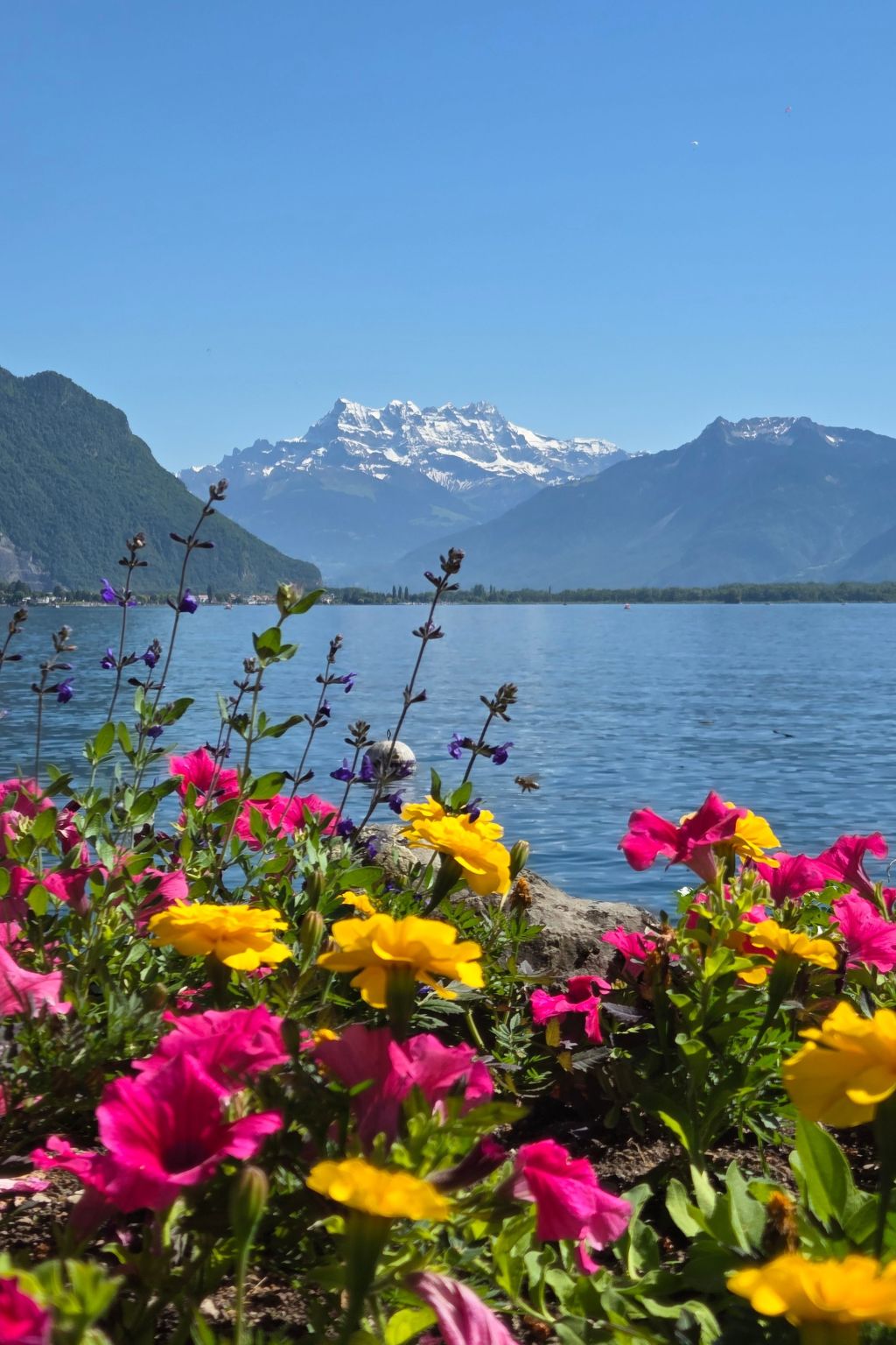 Chalet "Ecureuil" in den Portes du Soleil im Wallis-Outside