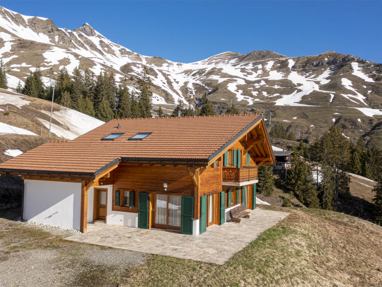 Chalet Martens: Open haard en bergzicht direct aan de piste in Les Crosets