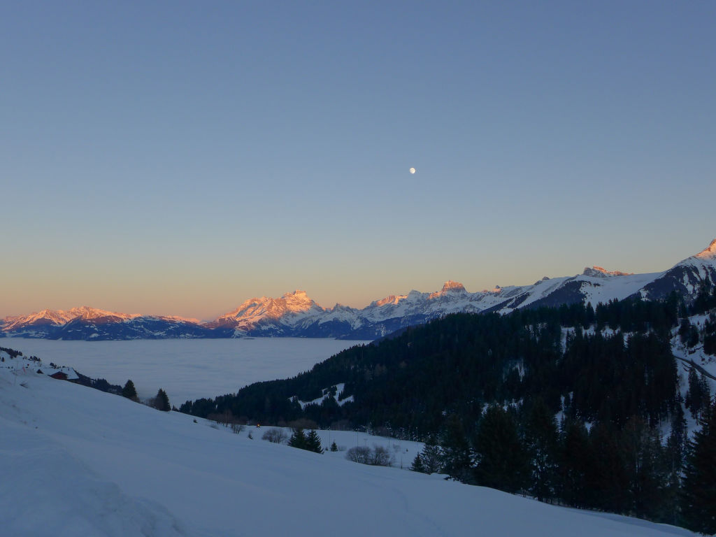 Bild 34