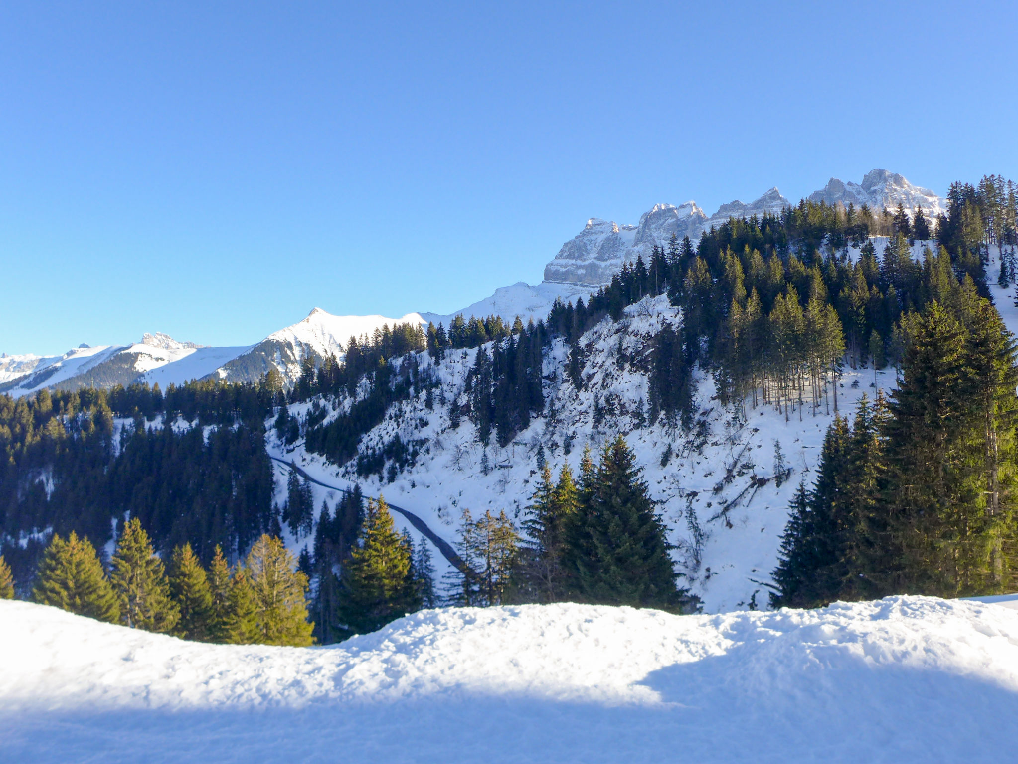 Chalet Iris, appartement N°6, (Champoussin), - Area