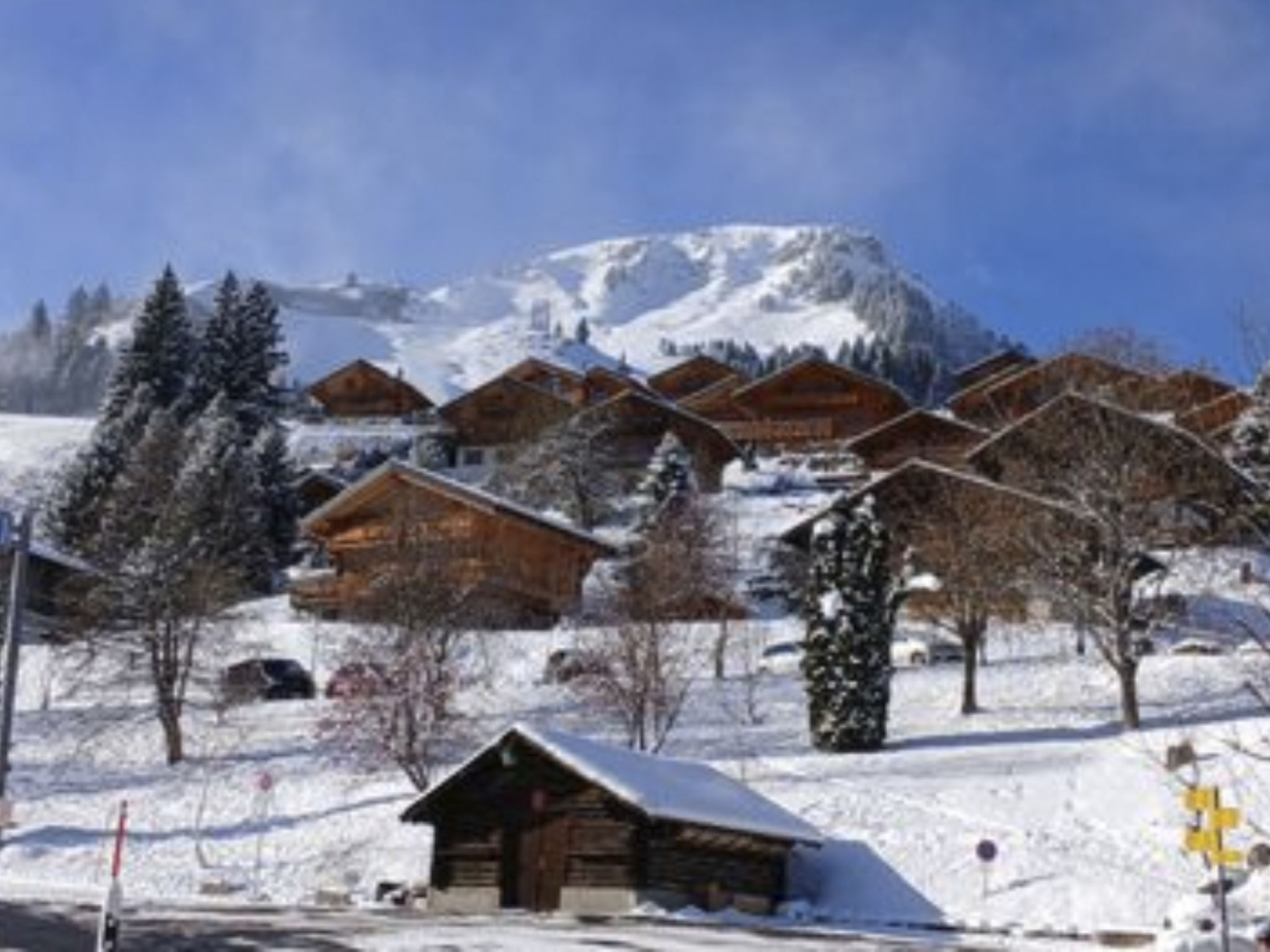 Chalet Iris, appartement N°6, (Champoussin),