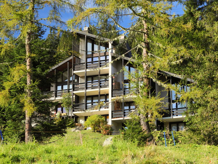 "Les Beluardes Bl. 151/2", appartement 1-kamer 30 m2, souterrain, op het zuiden gelegen. Eenvoudig en doelmatig ingericht: woon-/eetkamer met 2 bedden, 1 2-pers divanbed, open haard en TV (Flatscreen ..