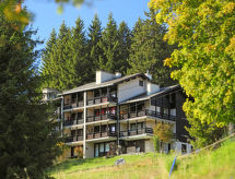Knusse 4-persoons woning op 25 meter van de piste in Alpe des Chaux - thumbnail 1