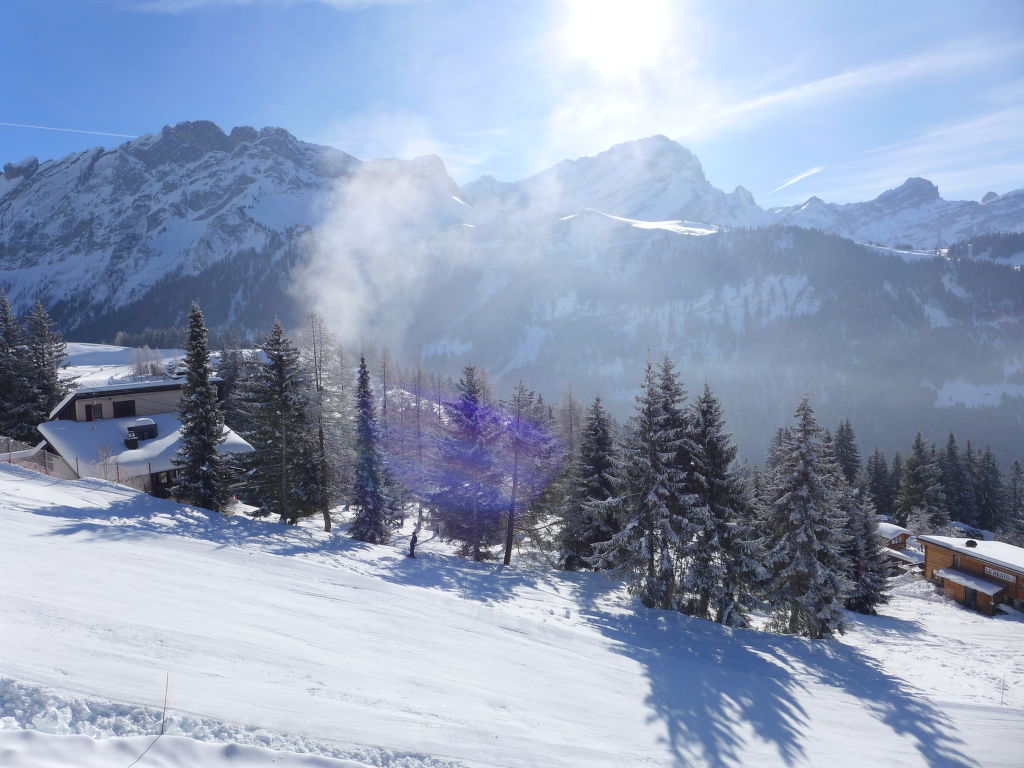 Bild 16