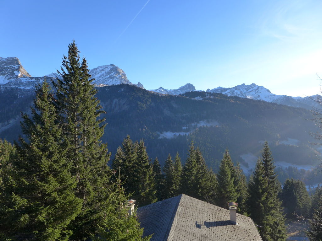Appartement Les Arsets 301/11 in Zwitserland