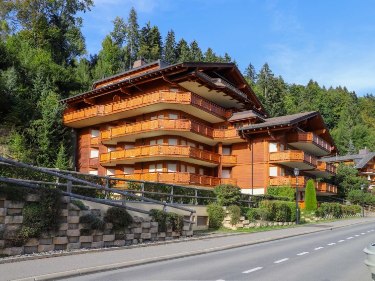 6-persoons appartement met bergzicht direct aan de piste in Gryon in Gryon