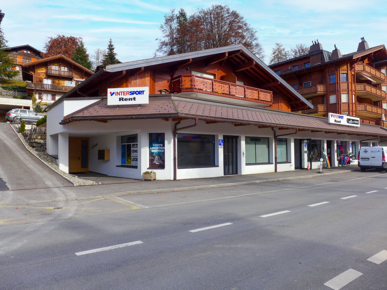 Bergzicht en wellness in appartement Les Savolaires 4, Gryon in Gryon