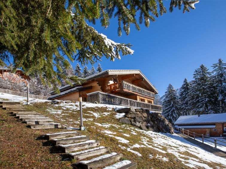 Gezellig chalet met open haard en bergzicht in Gryon in Gryon