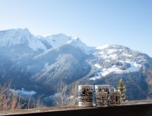 Chavonnes 11: Knus appartement in Gryon met panorama-uitzicht op de Alpen - thumbnail 1