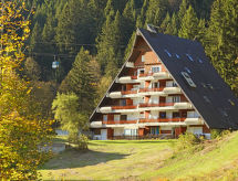 Chalet Anémone: Rustiek Genieten met Uitzicht in Gryon - thumbnail 1