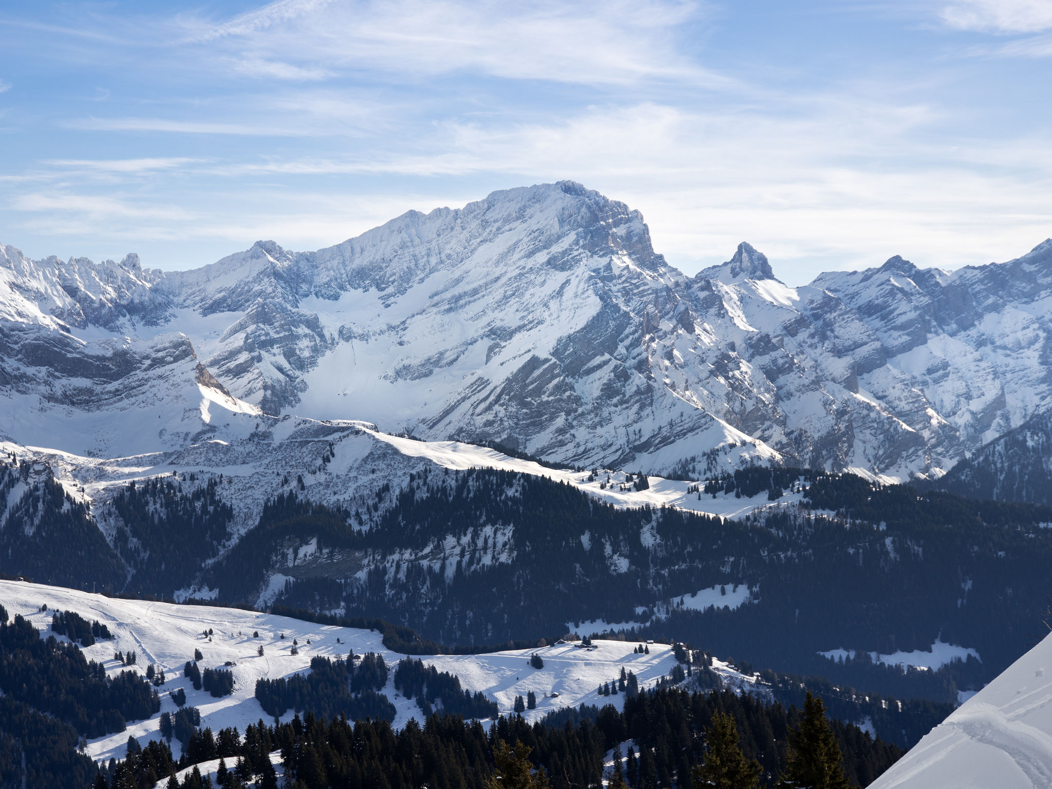 Photo of Les Dryades 8