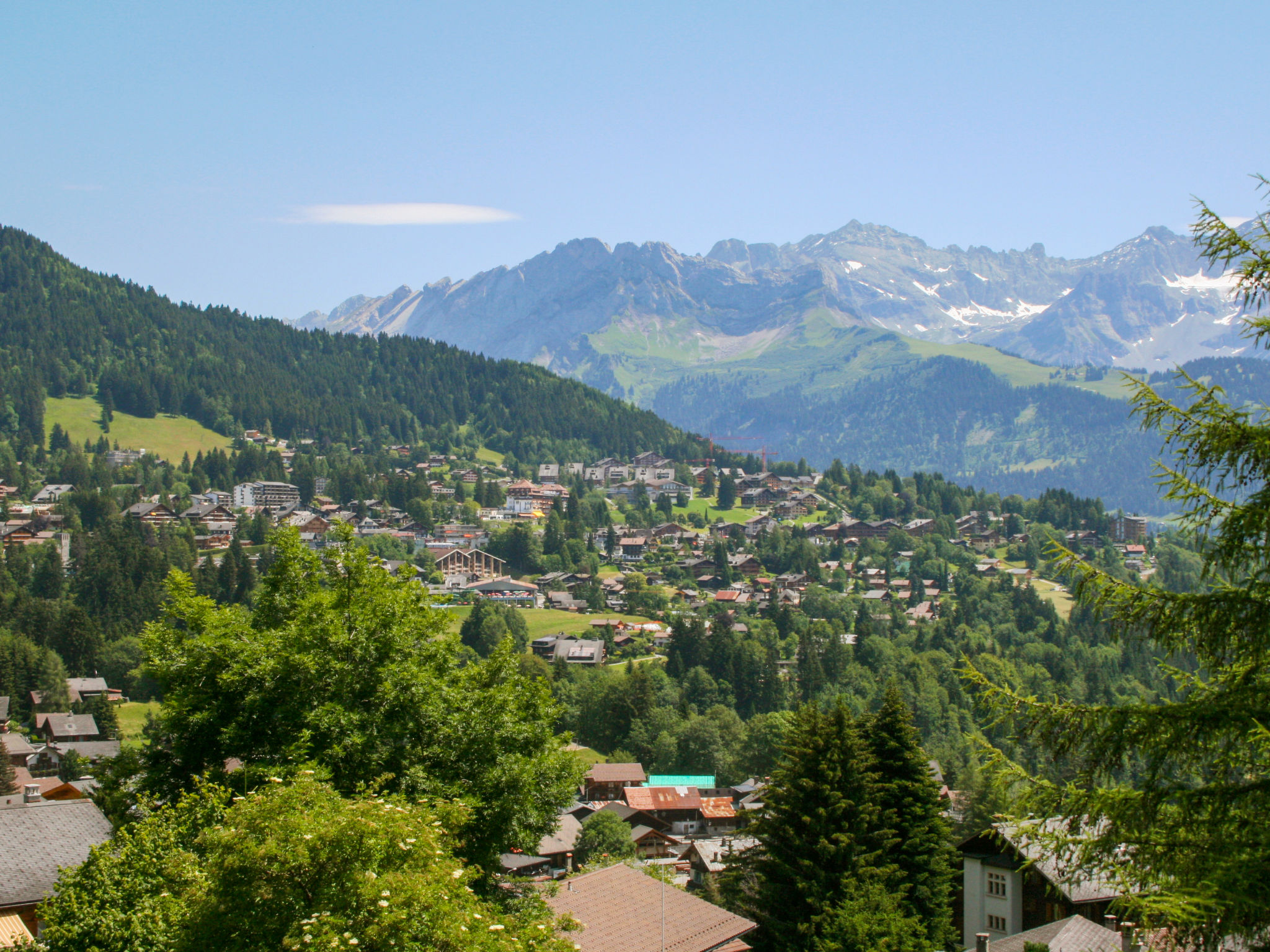 Photo of Les Dryades 8