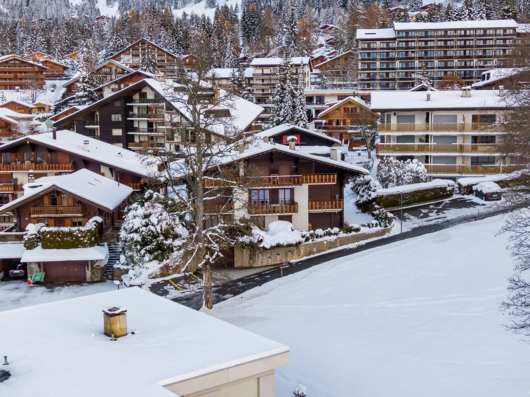 Cérémonia 1 Apartment in Villars-Gryon