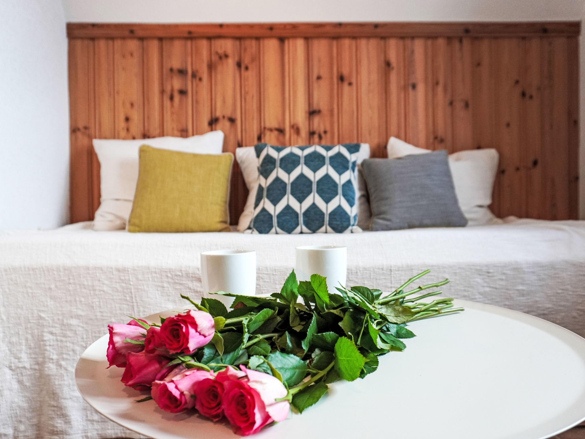 Photo of Plan Névé 5