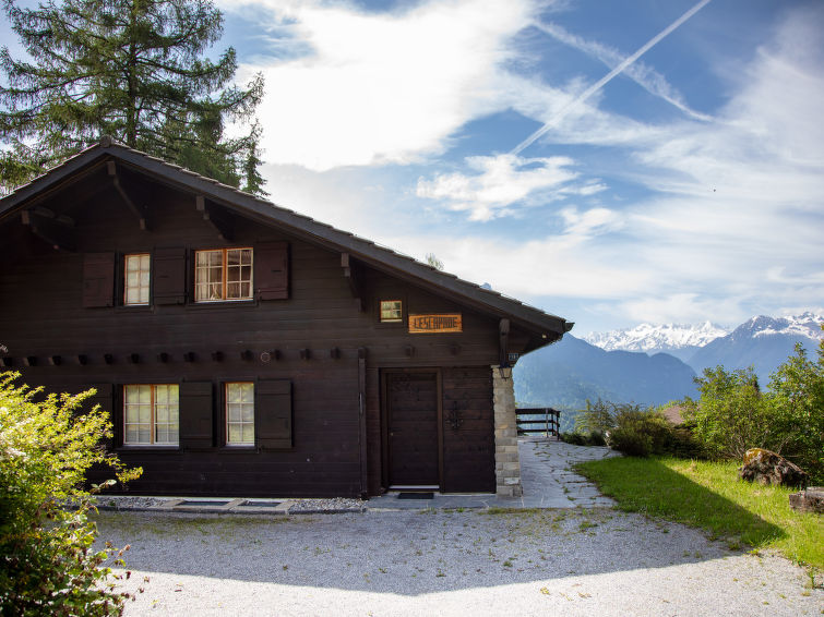 Chalet L'Escapade Chalet in Villars-Gryon