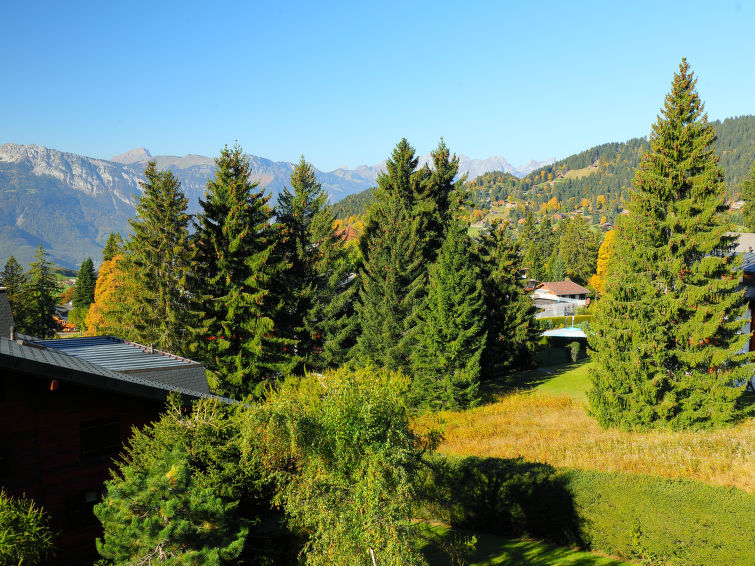 Sunset B 11 Chalet in Villars-Gryon