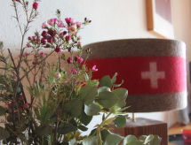La Bercière 21: Luxe appartement direct aan de piste in centrum Villars - thumbnail 5