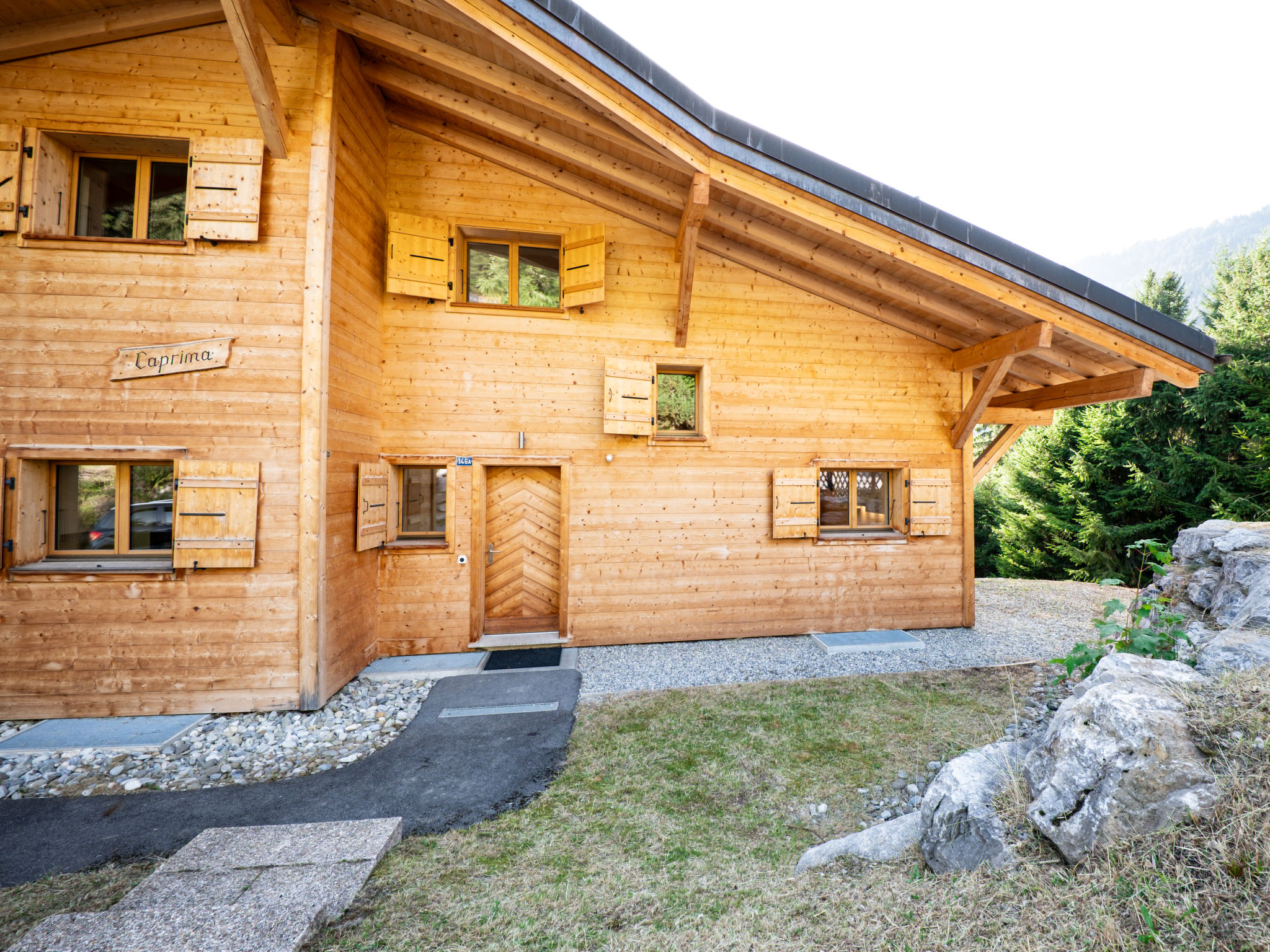 Dipankar Chalet in Villars-Gryon