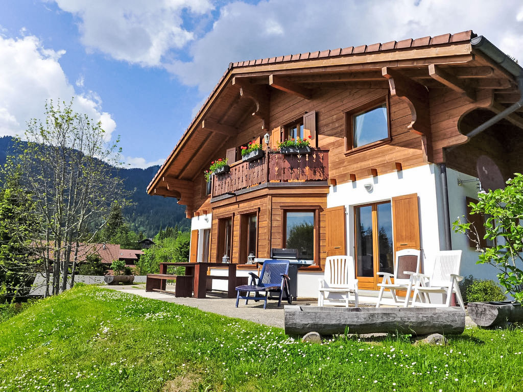 Chalet Petit Pont